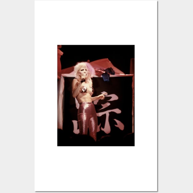 Dale Bozzio Photograph Wall Art by Concert Photos